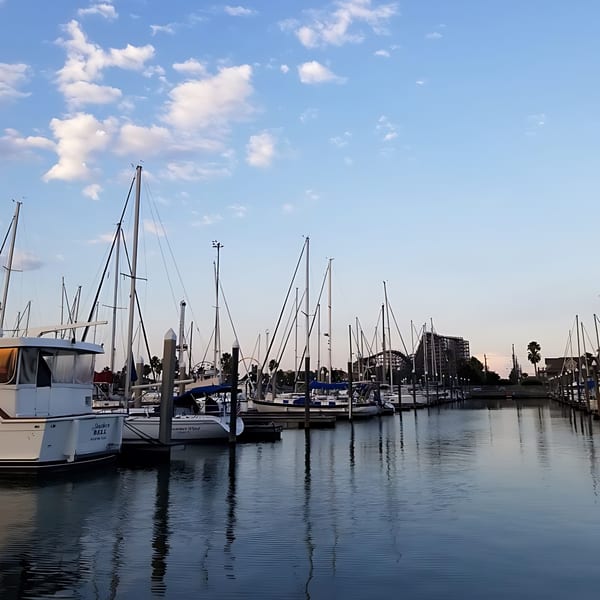 Sailboats docked in a marina with a clear blue sky and fluffy white clouds overhead.